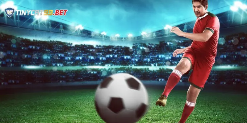 Tìm hiểu các thông tin về nhận định bóng đá wap