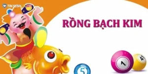 Không hoàn toàn phụ thuộc vào dự đoán của Rồng Bạch Kim 247